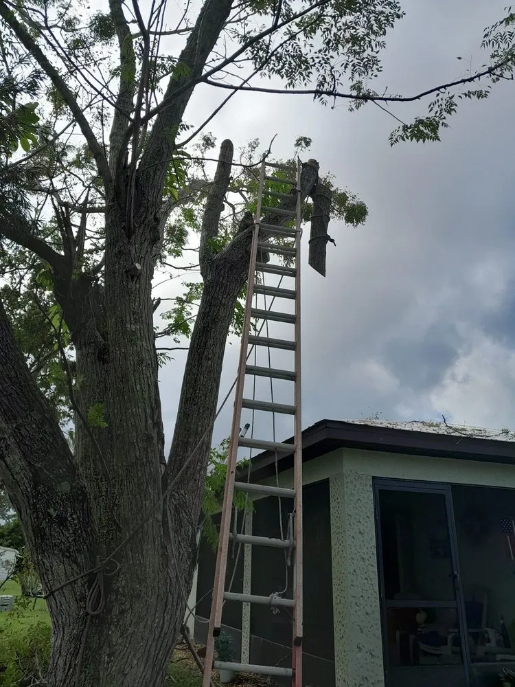 Top-rated garden landscaping in Stuart, FL by Romans Lawn Services