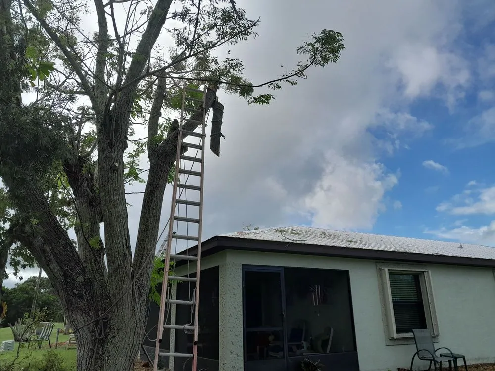 Trusted outdoor landscaping experts serving Stuart, FL - Romans Lawn Services