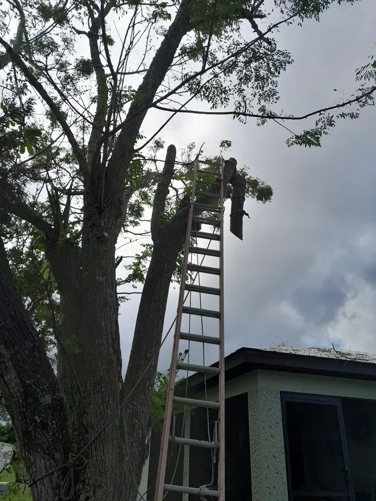 Affordable yard maintenance in Stuart, FL - Romans Lawn Services