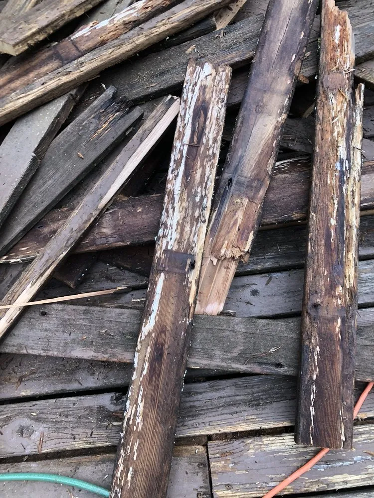 Affordable lawn care service in Auburn, WA by Romans Professional Siding and Construction