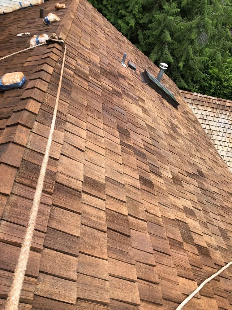 Professional yard maintenance in Auburn, WA by Romans Professional Siding and Construction