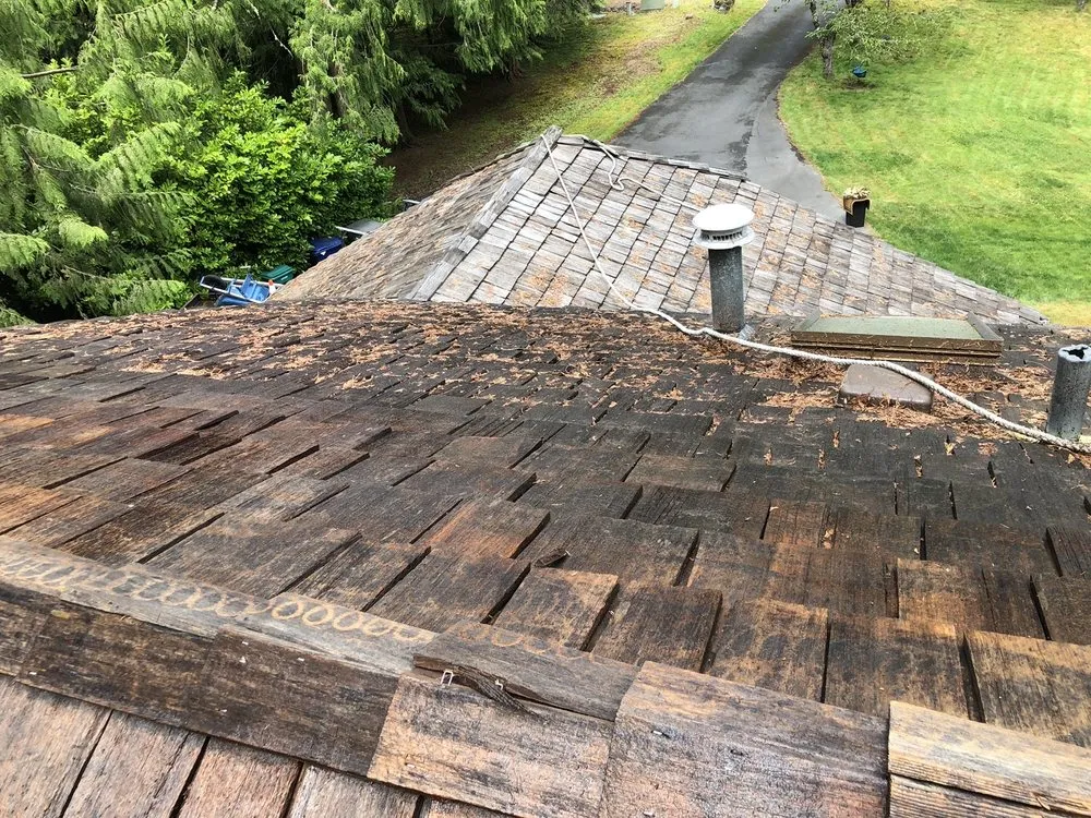 Trusted lawn mowing service experts serving Auburn, WA - Romans Professional Siding and Construction