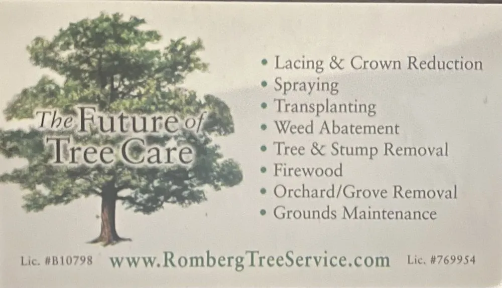 Expert lawn mowing service near you across Redlands, CA - Romberg Tree Service