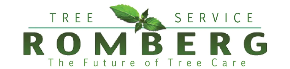 Local lawn mowing service for year-round maintenance in Redlands, CA by Romberg Tree Service