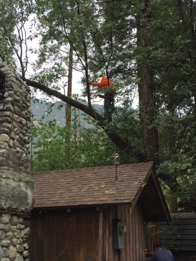 Affordable lawn mowing service for homes across Redlands, CA - Romberg Tree Service