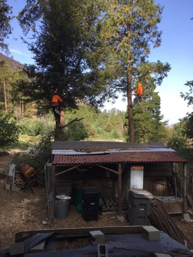 Professional landscape design in Redlands, CA - Romberg Tree Service