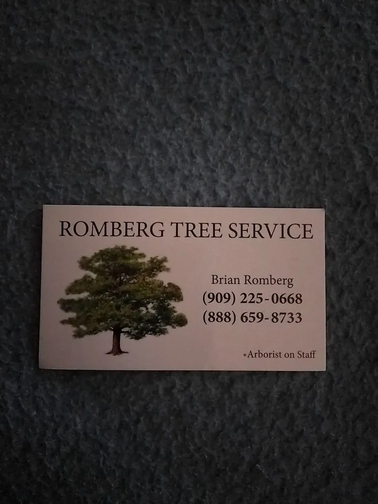 Local landscaping services experts serving Redlands, CA - Romberg Tree Service