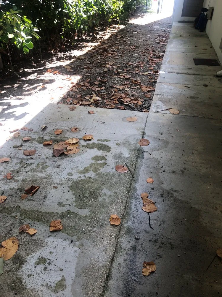 Trusted lawn care service experts serving Miami, FL - Romel Landscaping