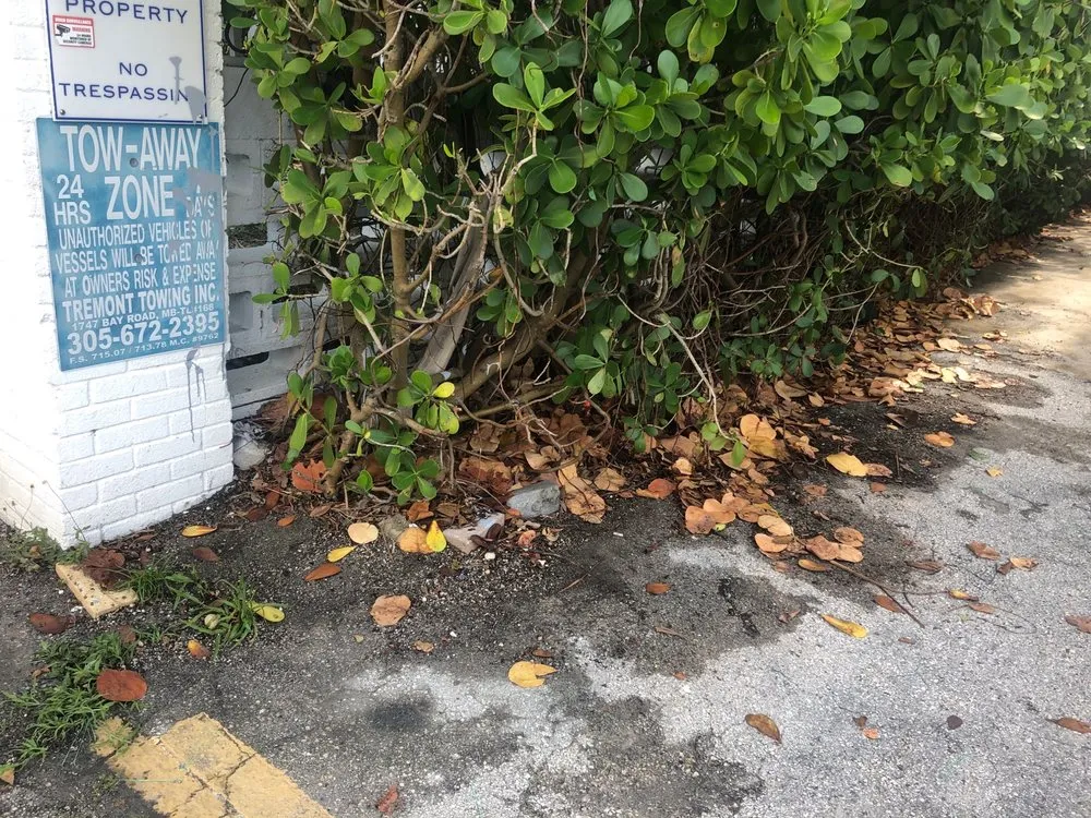 Custom yard cleanup service experts serving Miami, FL - Romel Landscaping