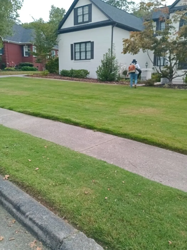 Top-rated outdoor landscaping experts serving Albertville, AL - Romeo Juan landscaping and trees services