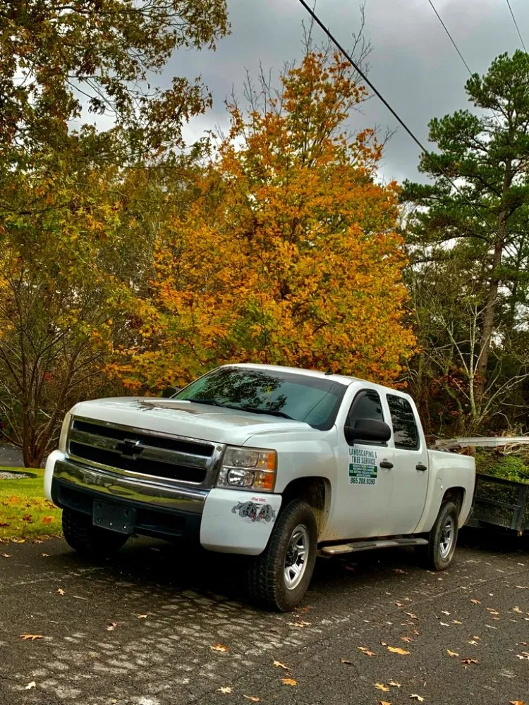 Affordable residential landscaping in Albertville, AL - Romeo Juan landscaping and trees services