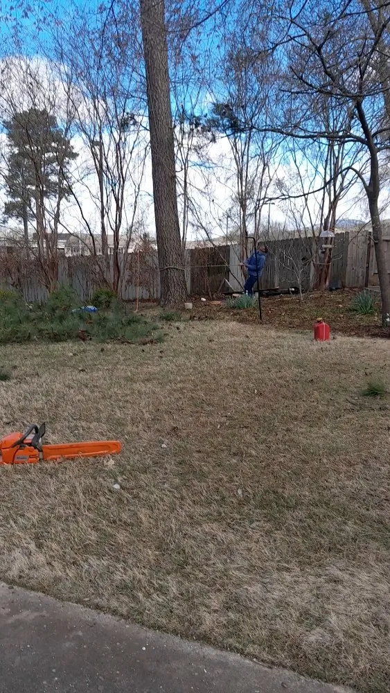 Affordable residential landscaping near you in Albertville, AL by Romeo Juan landscaping and trees services