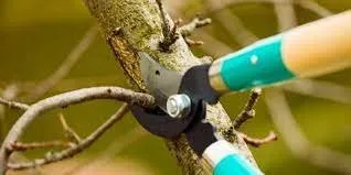 Top-rated garden landscaping in Hemet, CA - Romeo Ruiz Gardening Services