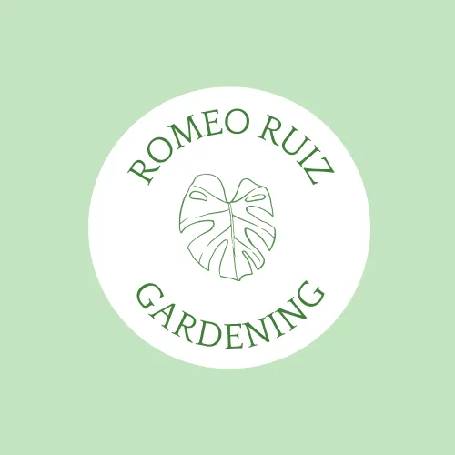 Reliable lawn mowing service in Hemet, CA - Romeo Ruiz Gardening Services