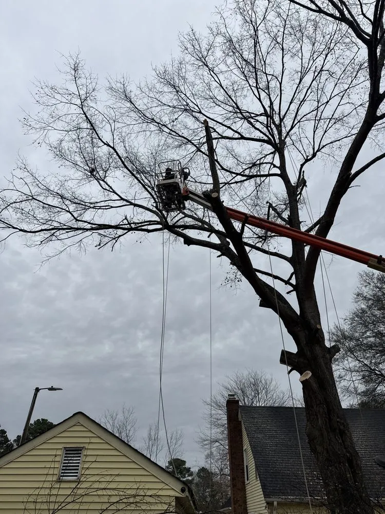 Trusted landscaping services for homes across Woodruff, SC - Romeo Whiskey Turf & Concrete