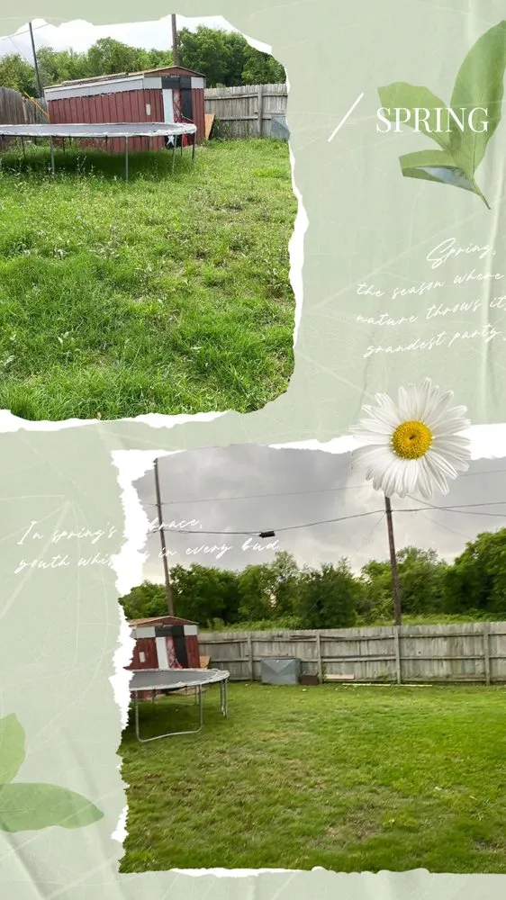 Reliable yard cleanup service near you across Killeen, TX - Romeo's Garden and Lawn Care