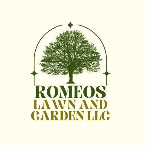 Local yard cleanup service experts serving Colorado Springs, CO - Romeo's Lawn and Garden