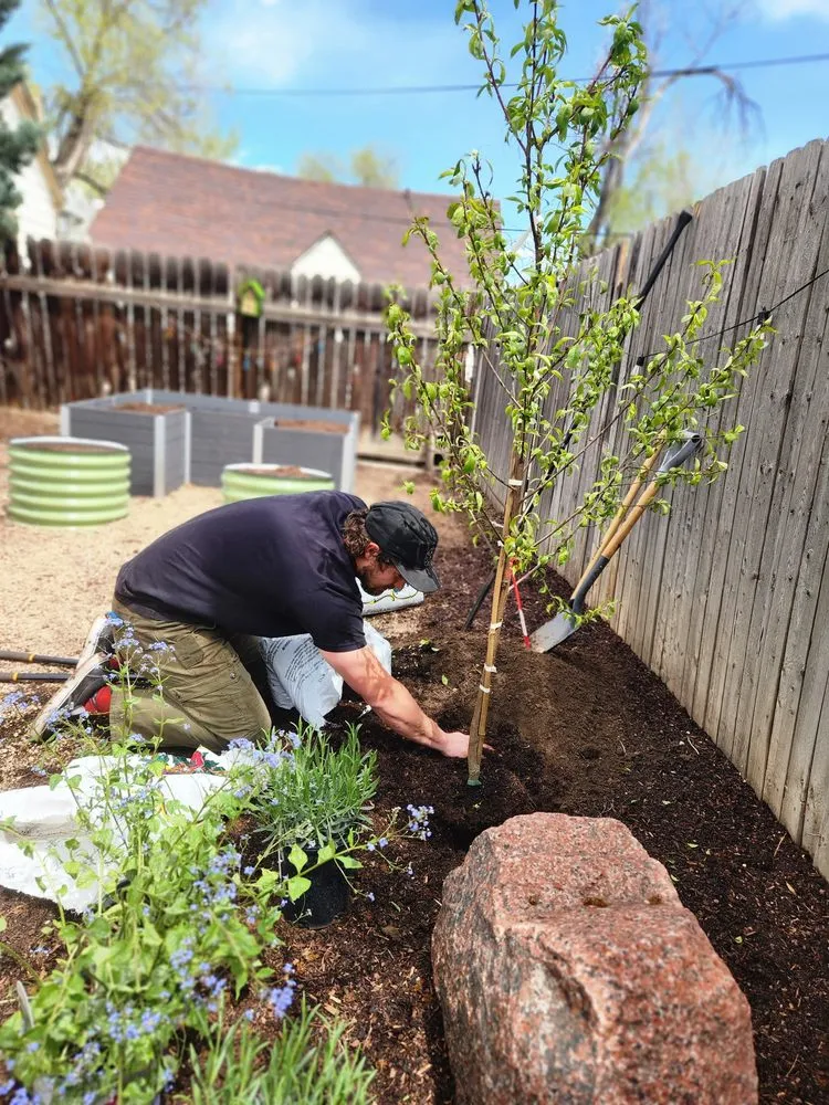 Expert landscaping services in Colorado Springs, CO - Romeo's Lawn and Garden