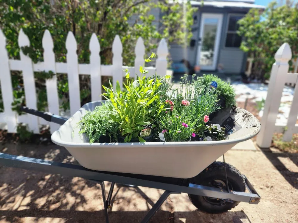 Top-rated garden landscaping in Colorado Springs, CO - Romeo's Lawn and Garden