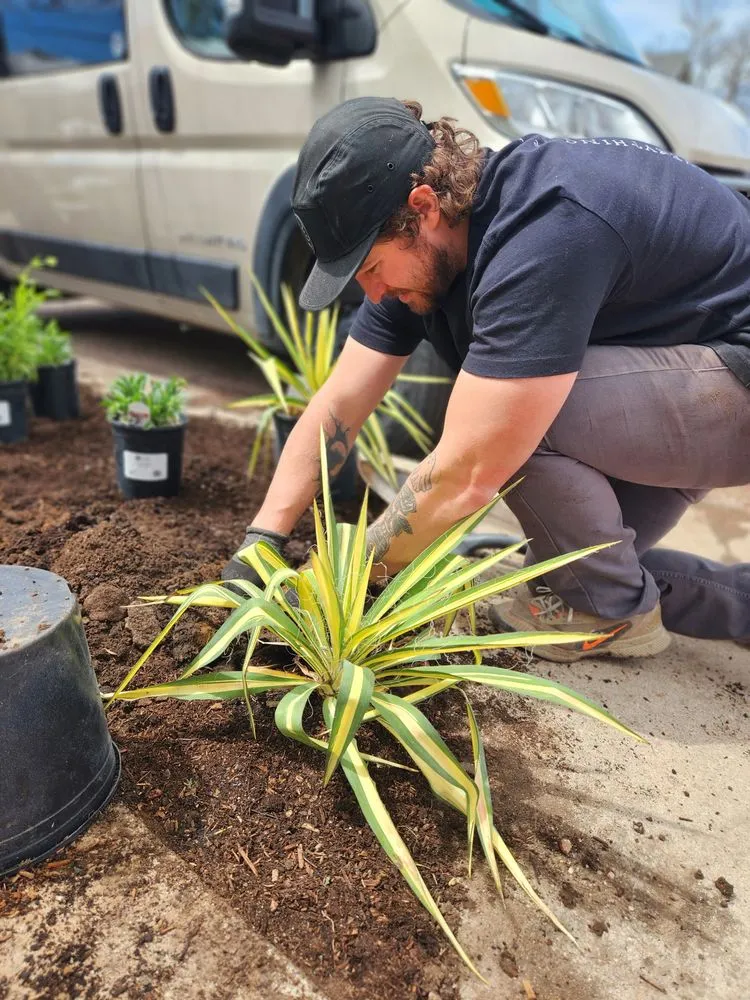 Trusted landscape installation for residential properties in Colorado Springs, CO by Romeo's Lawn and Garden