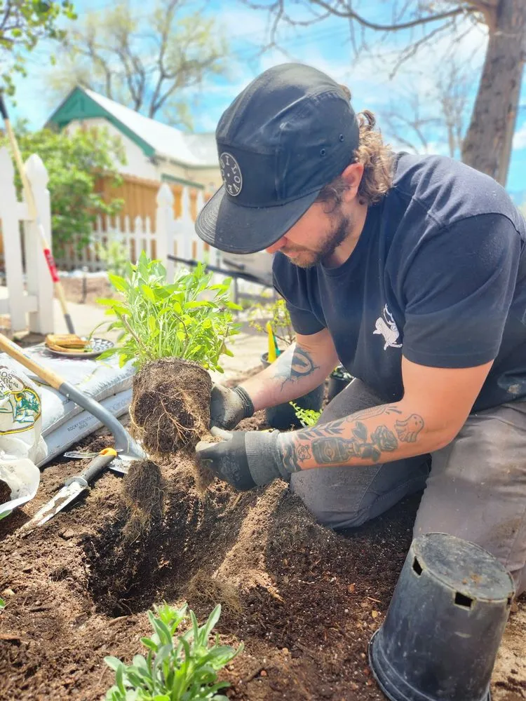 Expert garden landscaping in Colorado Springs, CO by Romeo's Lawn and Garden