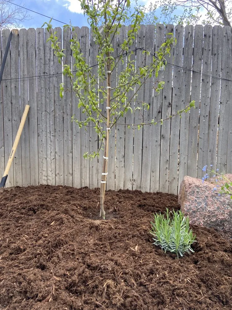 Reliable garden landscaping in Colorado Springs, CO by Romeo's Lawn and Garden