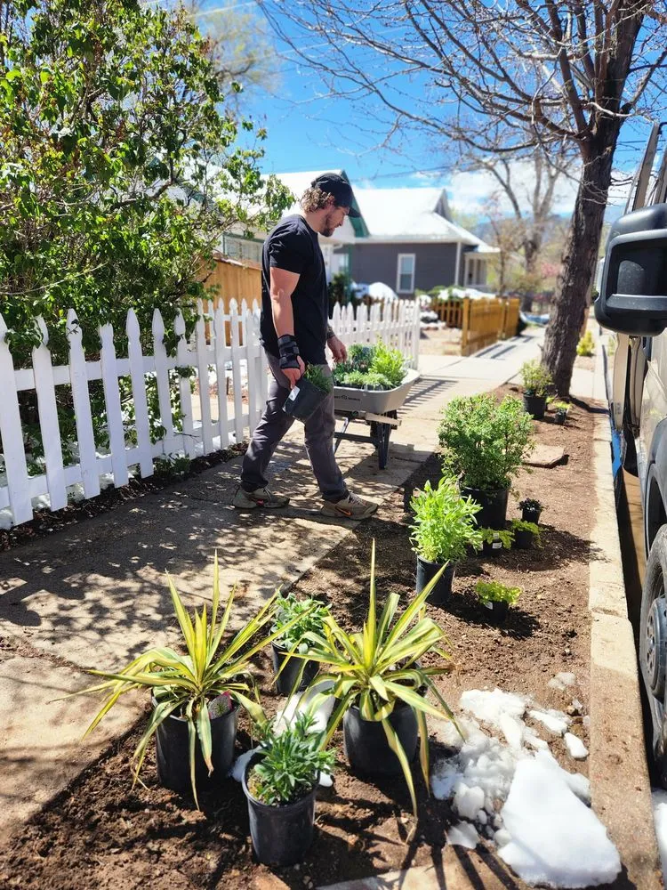 Top-rated lawn care service near you across Colorado Springs, CO - Romeo's Lawn and Garden