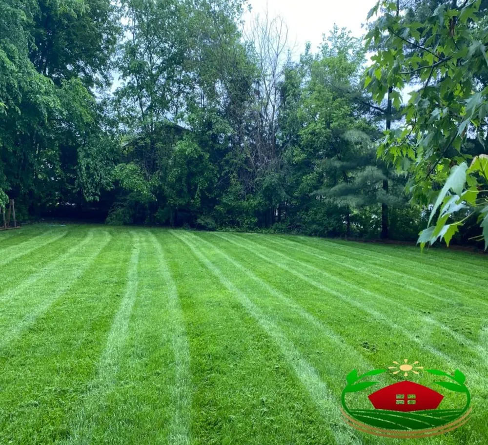 Professional landscape installation in Grand Rapids, MI - Romeo’s Lawn Care
