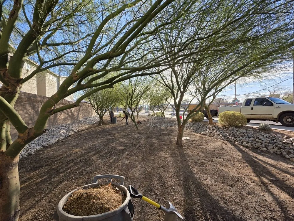 Trusted lawn mowing service in Benson, AZ by Romero Enviroscapes