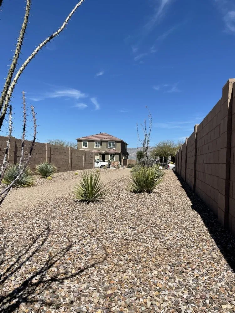 Top-rated yard maintenance in Benson, AZ - Romero Enviroscapes