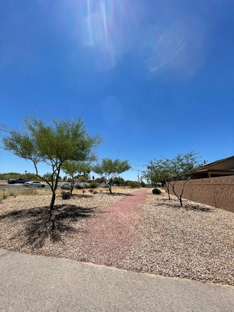 Affordable landscape design in Benson, AZ - Romero Enviroscapes