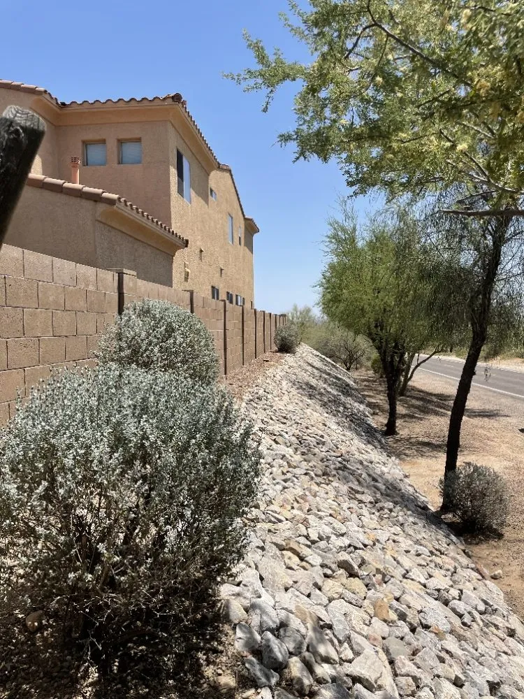 Expert yard cleanup service with custom design across Benson, AZ - Romero Enviroscapes