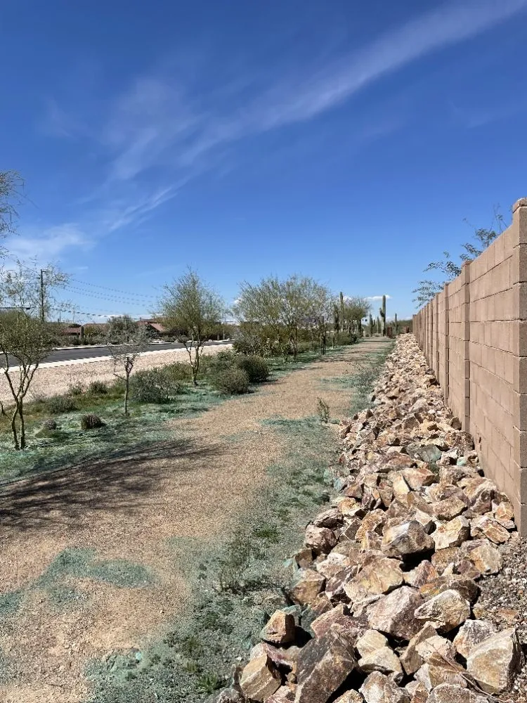 Affordable residential landscaping in Benson, AZ by Romero Enviroscapes