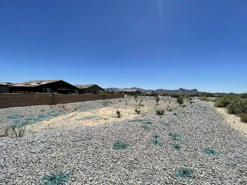 Professional garden landscaping in Benson, AZ by Romero Enviroscapes