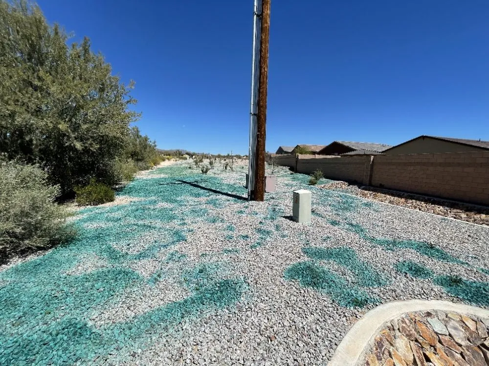 Top-rated garden landscaping experts serving Benson, AZ - Romero Enviroscapes