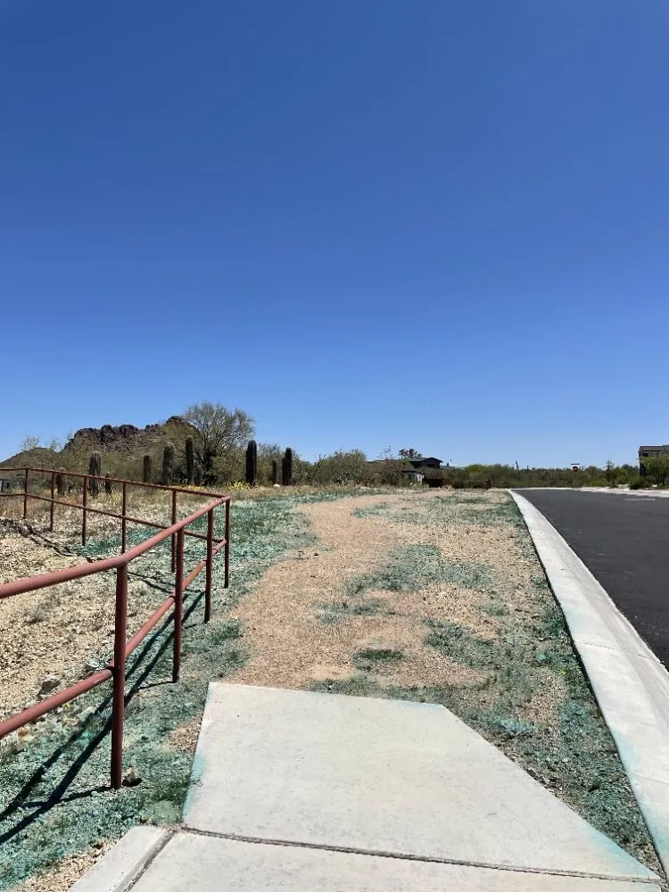 Local residential landscaping in Benson, AZ - Romero Enviroscapes