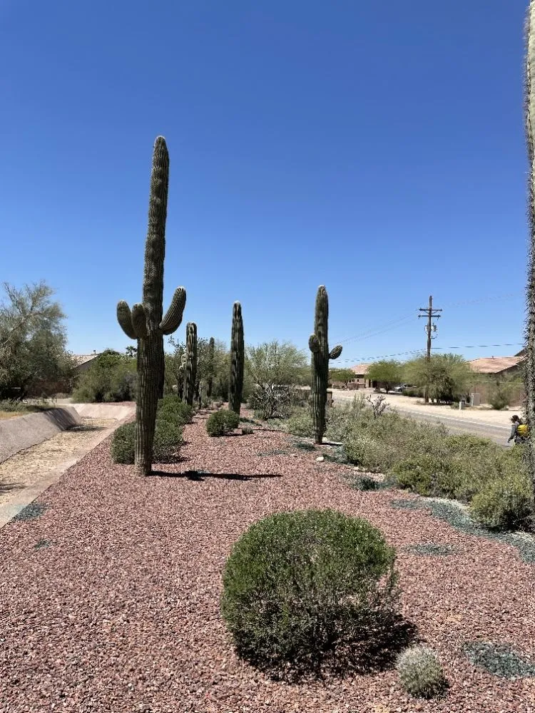 Local landscape design in Benson, AZ by Romero Enviroscapes