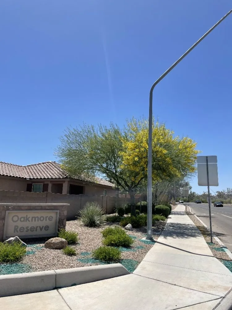 Trusted yard maintenance in Benson, AZ by Romero Enviroscapes