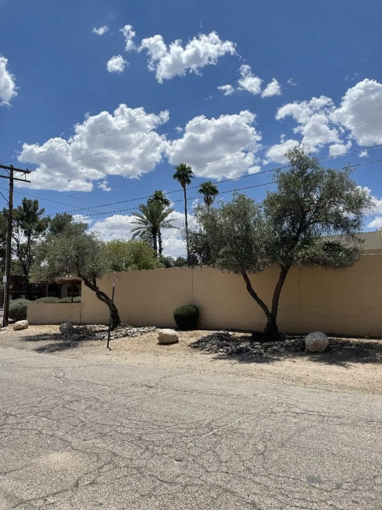 Reliable landscape design for beautiful yards in Benson, AZ by Romero Enviroscapes