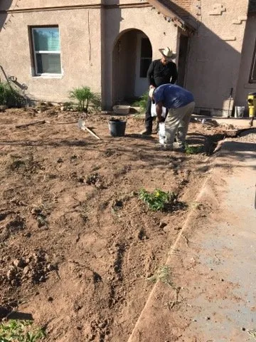 Professional lawn care service in Phoenix, AZ - Romero G Landscaping
