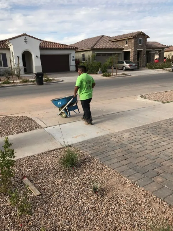 Top-rated garden landscaping experts serving Phoenix, AZ - Romero G Landscaping