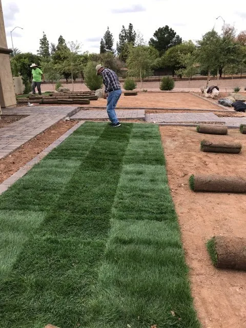 Top-rated landscape installation in Phoenix, AZ by Romero G Landscaping
