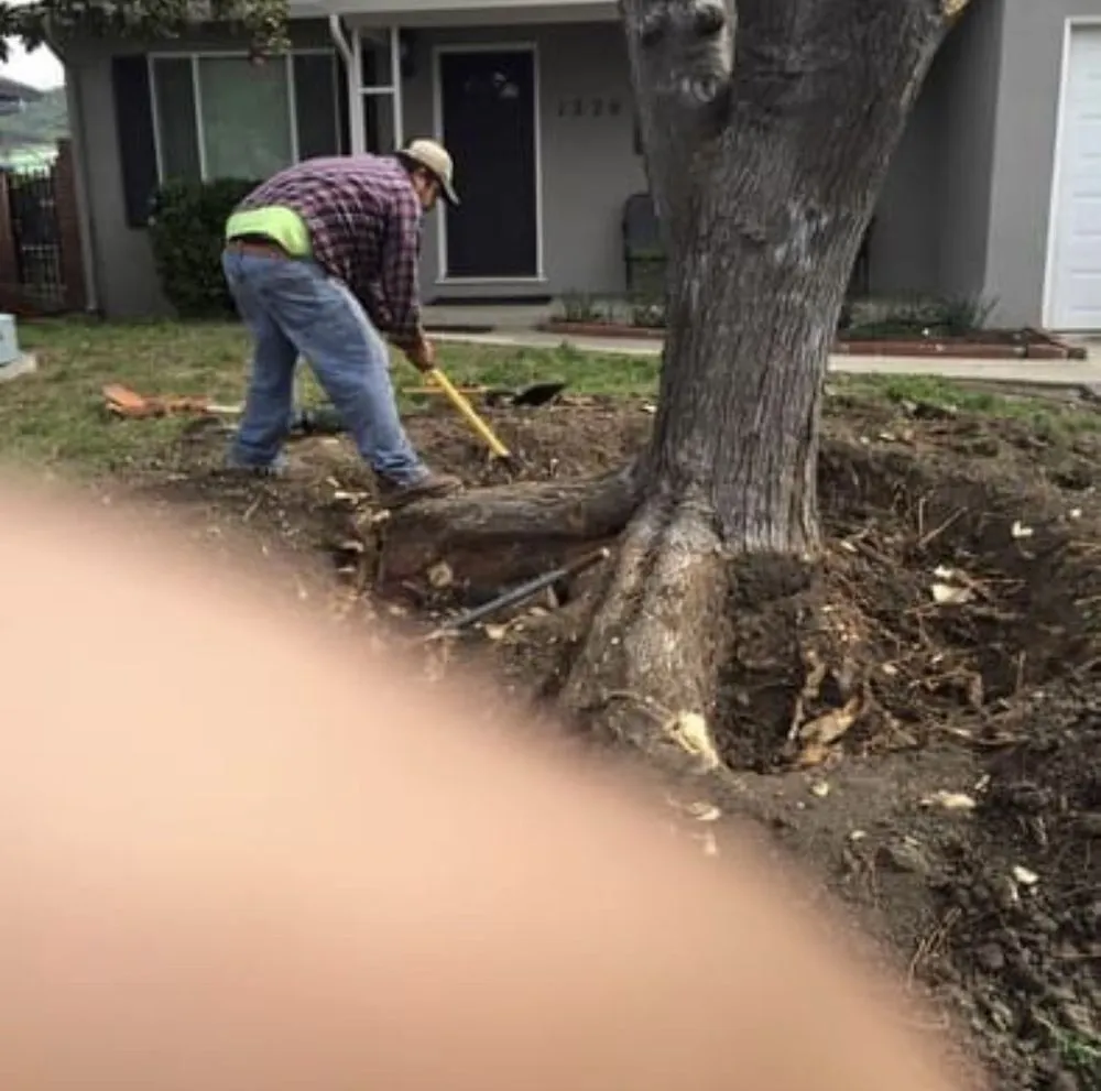 Reliable outdoor landscaping in Fremont, CA - Romero' Landscape
