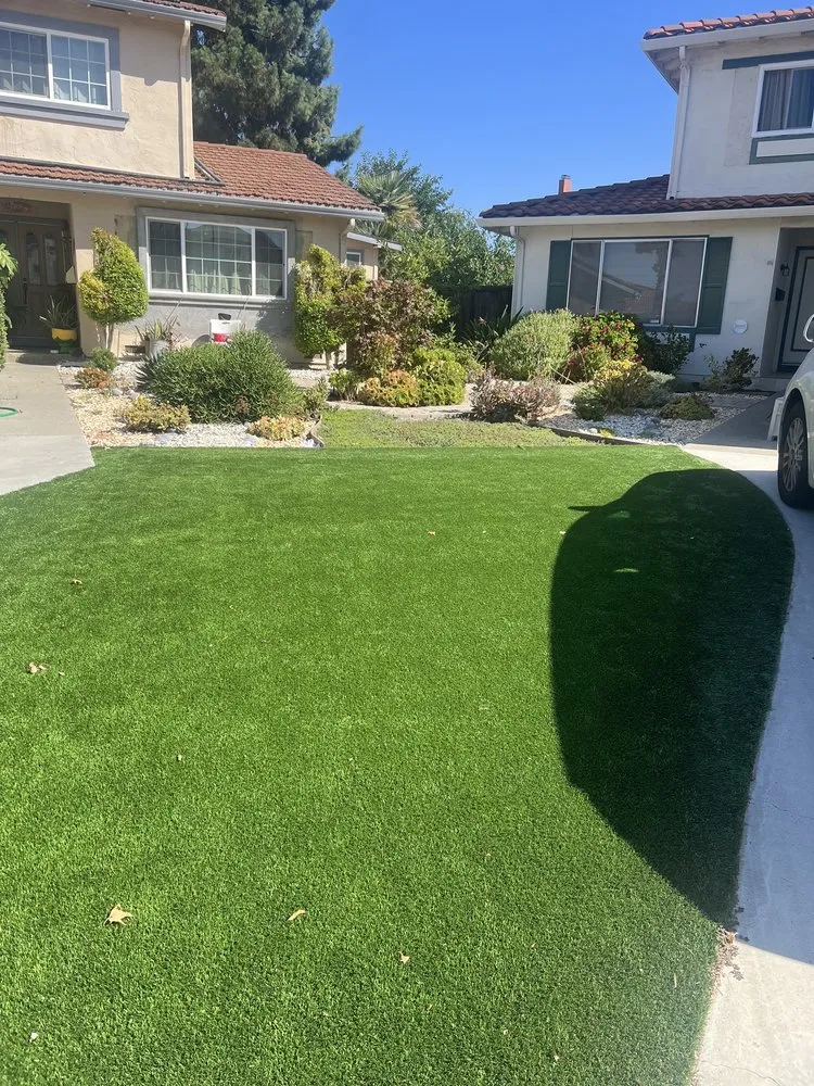 Top-rated landscaping services in Fremont, CA - Romero' Landscape
