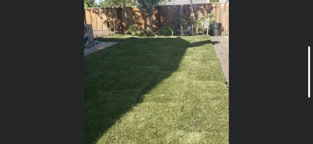 Expert lawn mowing service near you in Fremont, CA by Romero' Landscape