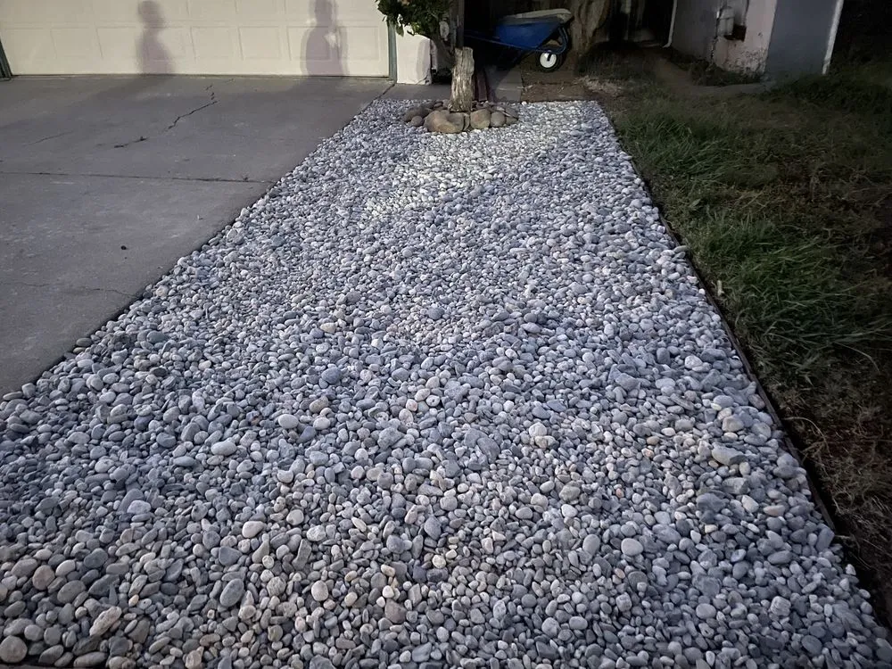 Reliable landscaping services for year-round maintenance in Fremont, CA by Romero' Landscape