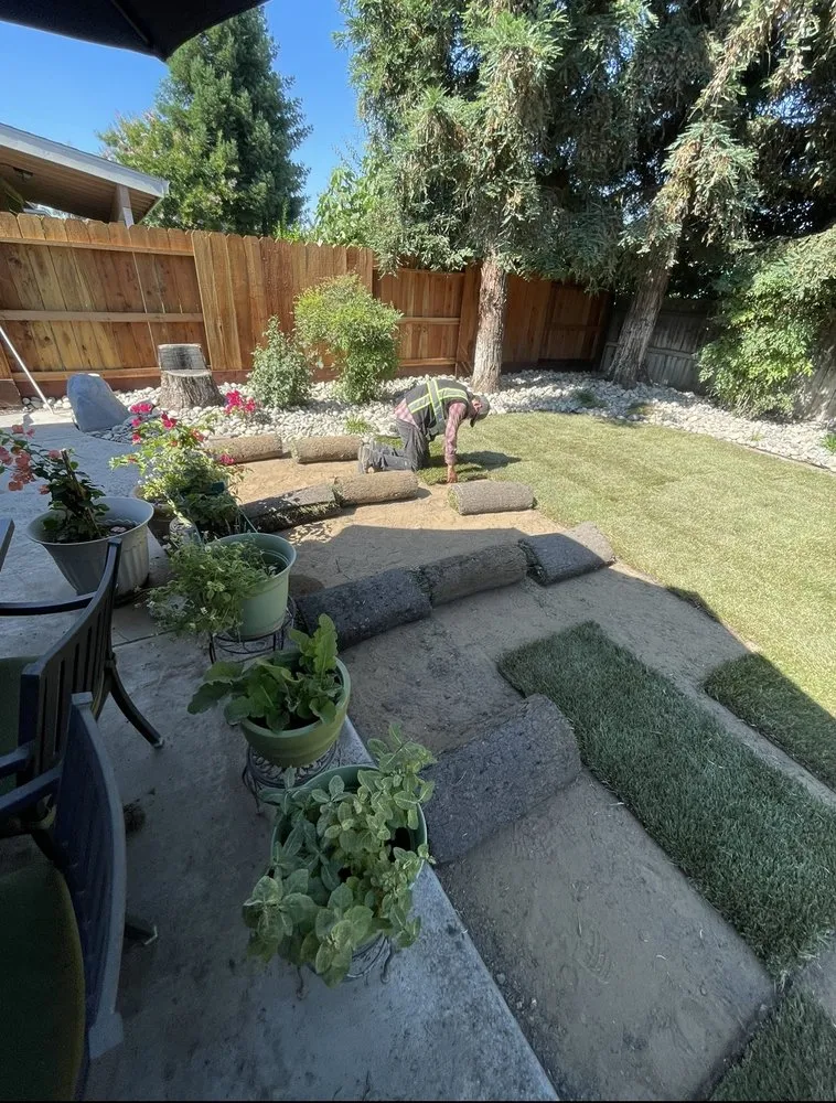 Affordable residential landscaping in Modesto, CA - Romero Landscape