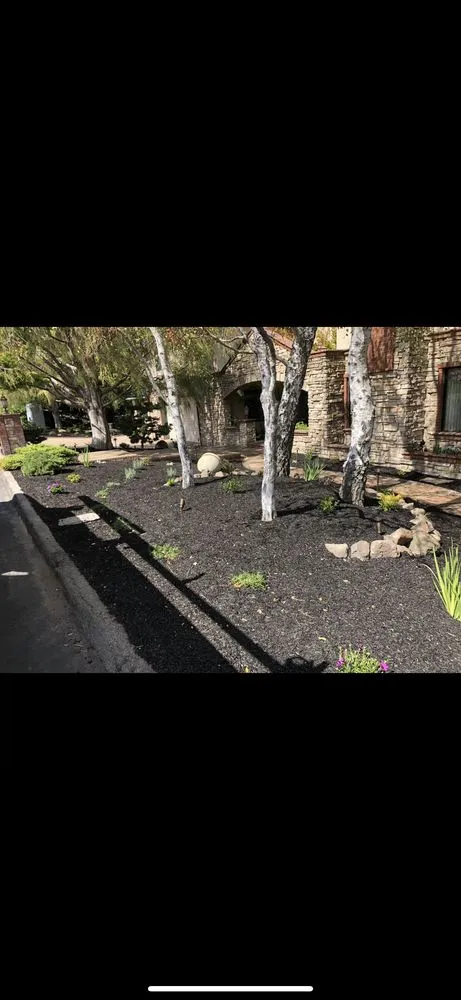 Local yard cleanup service near you across Modesto, CA - Romero Landscape