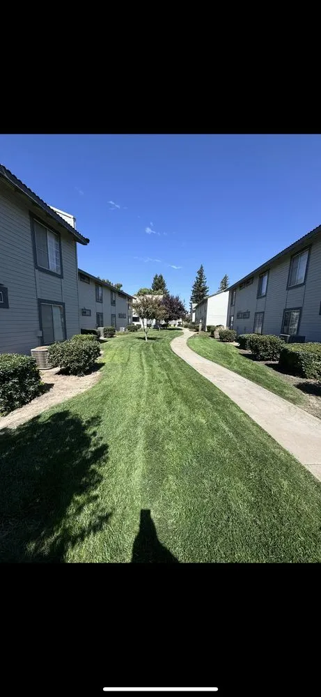 Affordable landscape installation in Modesto, CA by Romero Landscape