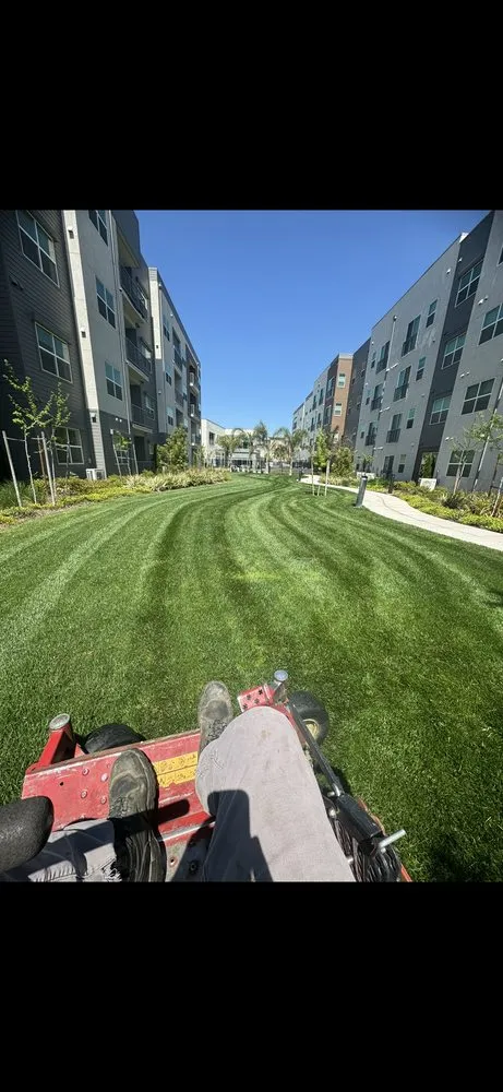 Local lawn mowing service with custom design in Modesto, CA by Romero Landscape